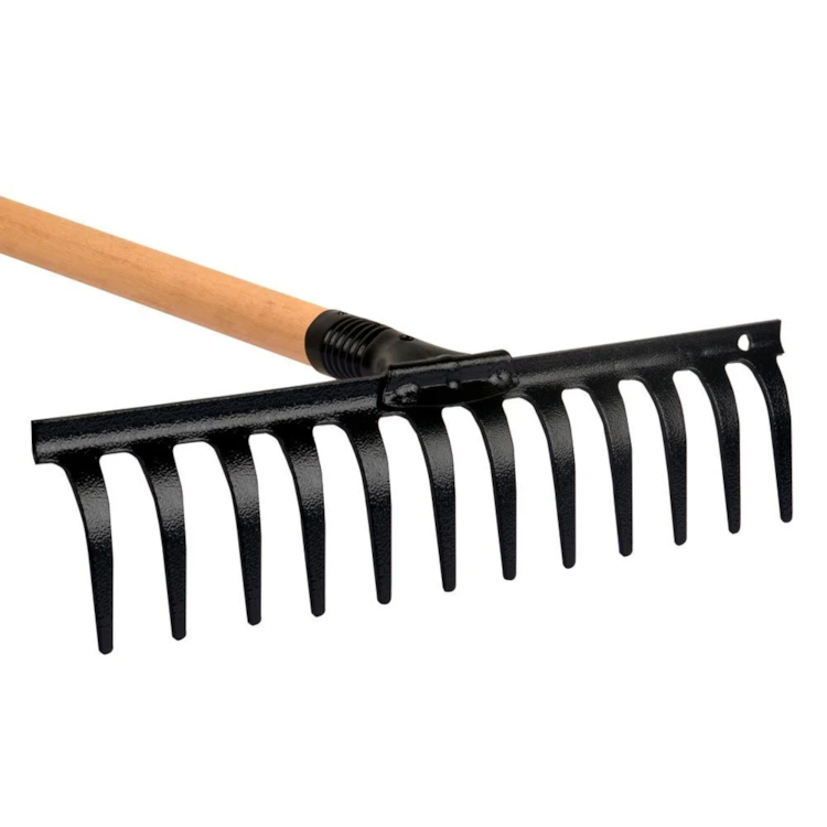 image_47cde612-ee89-4bfb-abbc-819bb617e695