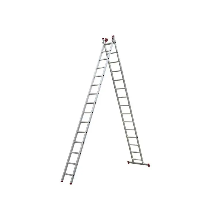 image_97c4fd60-c431-4991-b91e-54886e688478