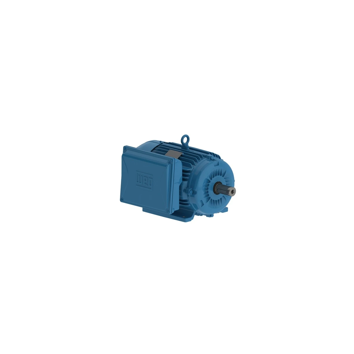 Motor Elétrico Monofásico 12,5HP 2P 220/440V 60 Hz 3600 rpm - WEG-13311960