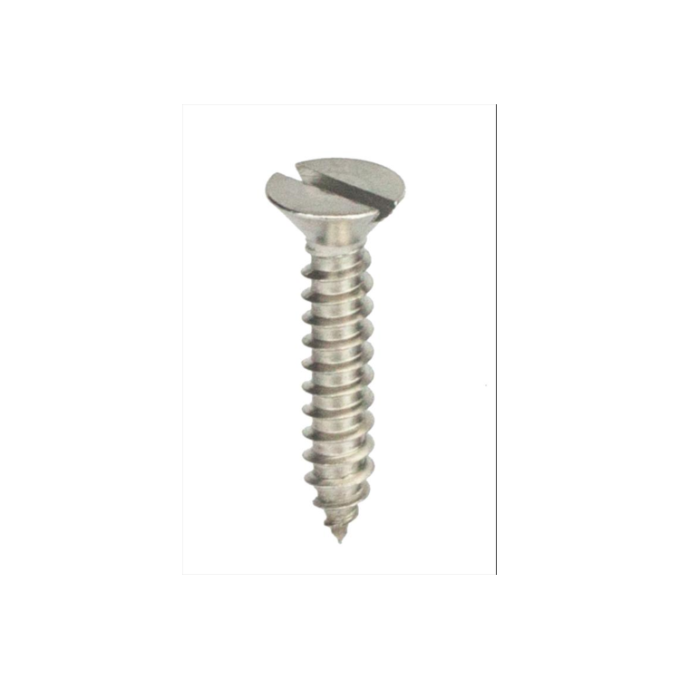 Parafuso Auto-Atarraxante Cabeça Chata c/ Fenda 2.9 X 13 Aço Inox A2 (1 Peça) BELENUS - AACH2.9X13A2
