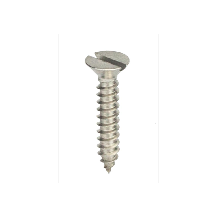 Parafuso Auto-Atarraxante Cabeça Chata c/ Fenda 2.9 X 22 Aço Inox A2 (1 Peça) BELENUS - AACH2.9X22A2