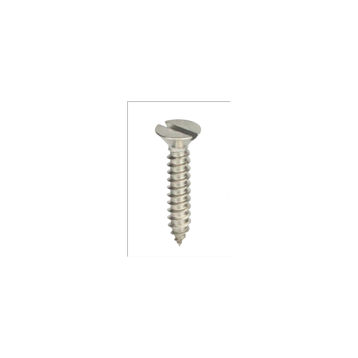 Parafuso Auto-Atarraxante Cabeça Chata c/ Fenda 3.5 X 13 Aço Inox A2 (1 Peça) BELENUS - AACH3.5X13A2