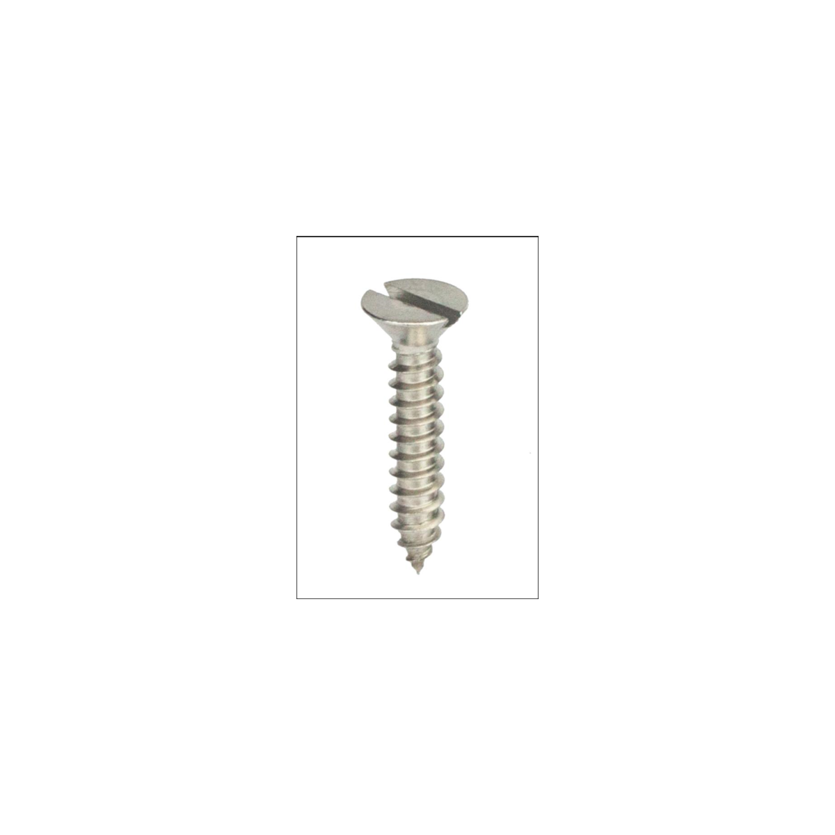 Parafuso Auto-Atarraxante Cabeça Chata c/ Fenda 3.5 X 32 Aço Inox A2 (1 Peça) BELENUS - AACH3.5X32A2