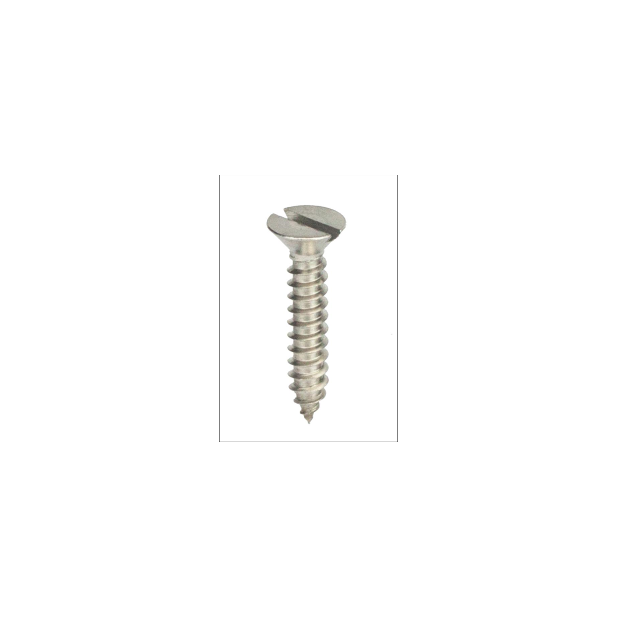Parafuso Auto-Atarraxante Cabeça Chata c/ Fenda 3.9 X 13 Aço Inox A2 (1 Peça) BELENUS - AACH3.9X13A2