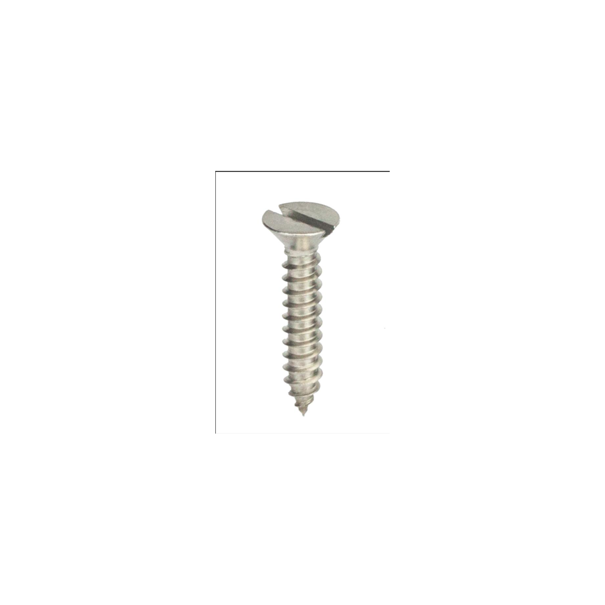 Parafuso Auto-Atarraxante Cabeça Chata c/ Fenda 3.9 X 16 Aço Inox A2 (1 Peça) BELENUS - AACH3.9X16A2