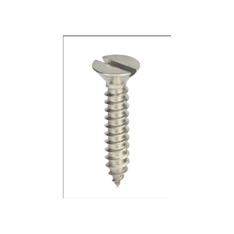 Parafuso Auto-Atarraxante Cabeça Chata c/ Fenda 3.9 X 16 Aço Inox A2 (1 Peça) BELENUS - AACH3.9X16A2