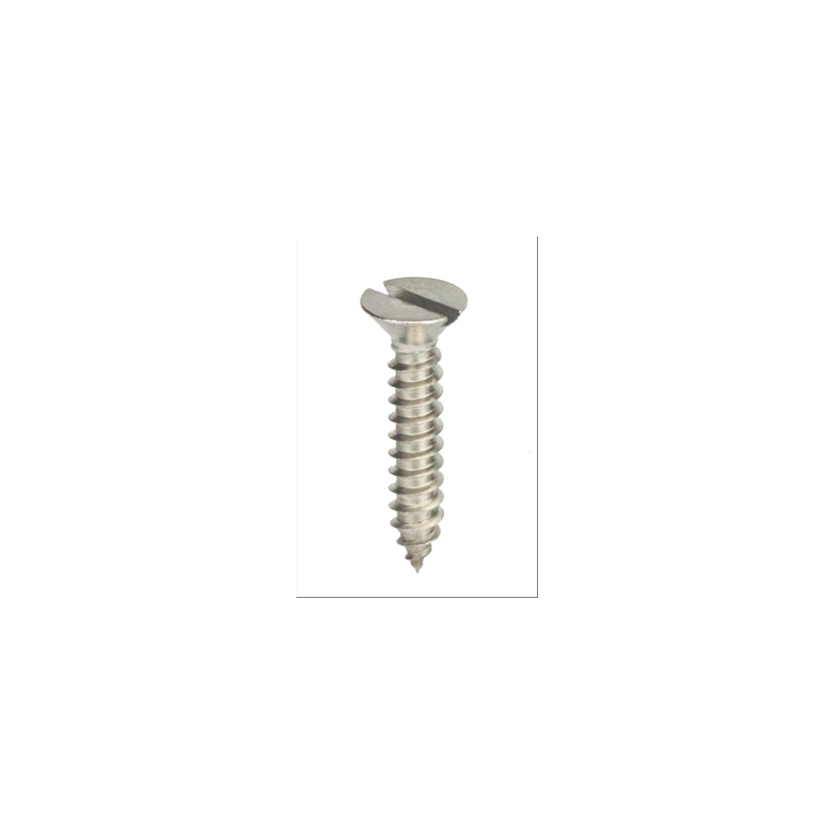 Parafuso Auto-Atarraxante Cabeça Chata c/ Fenda 3.9 X 22 Aço Inox A2 (1 Peça) BELENUS - AACH3.9X22A2