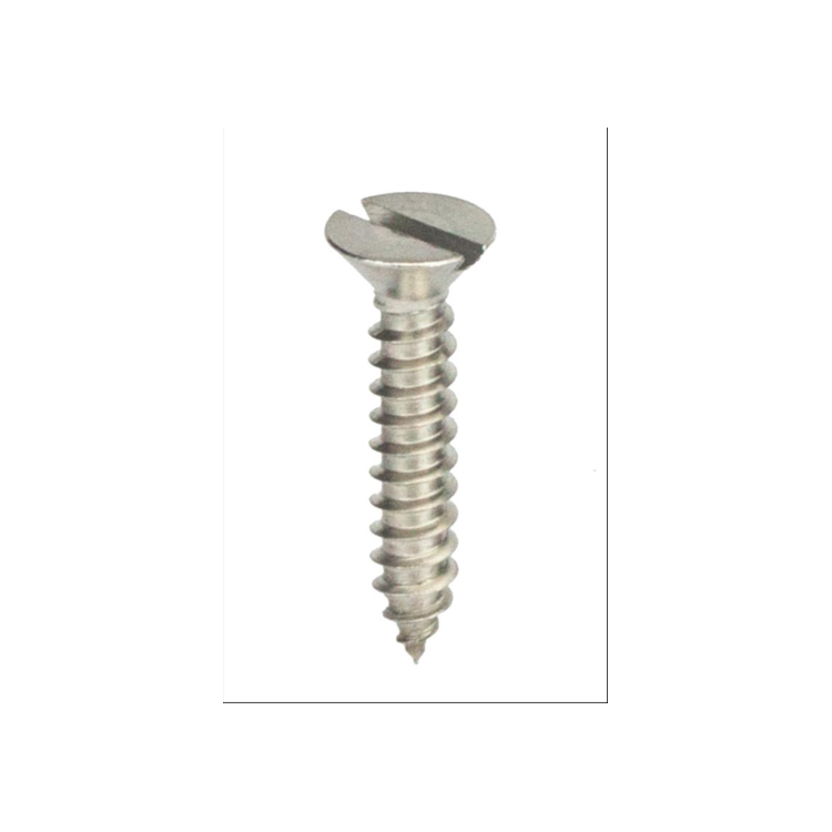 Parafuso Auto-Atarraxante Cabeça Chata c/ Fenda 3.9 X 22 Aço Inox A2 (1 Peça) BELENUS - AACH3.9X22A2