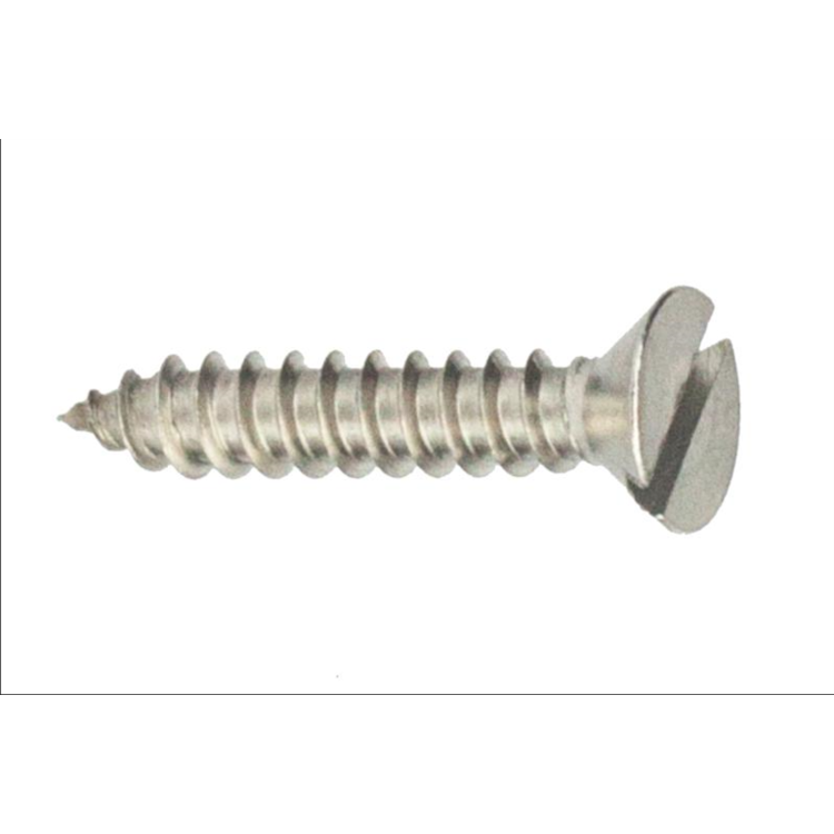 image_fc8ecaa2-590e-467e-9f7d-6afaafb55520