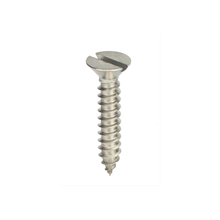 Parafuso Auto-Atarraxante Cabeça Chata c/ Fenda 3.9 X 25 Aço Inox A2 (1 Peça) BELENUS - AACH3.9X25A2
