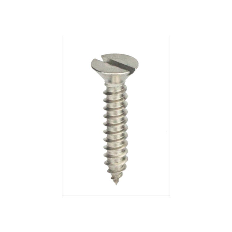 Parafuso Auto-Atarraxante Cabeça Chata c/ Fenda 3.9 X 38 Aço Inox A2 (1 Peça) BELENUS - AACH3.9X38A2