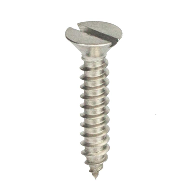Parafuso Auto-Atarraxante Cabeça Chata c/ Fenda 4.8 X 22 Aço Inox A2 (1 Peça) BELENUS - AACH4.8X22A2