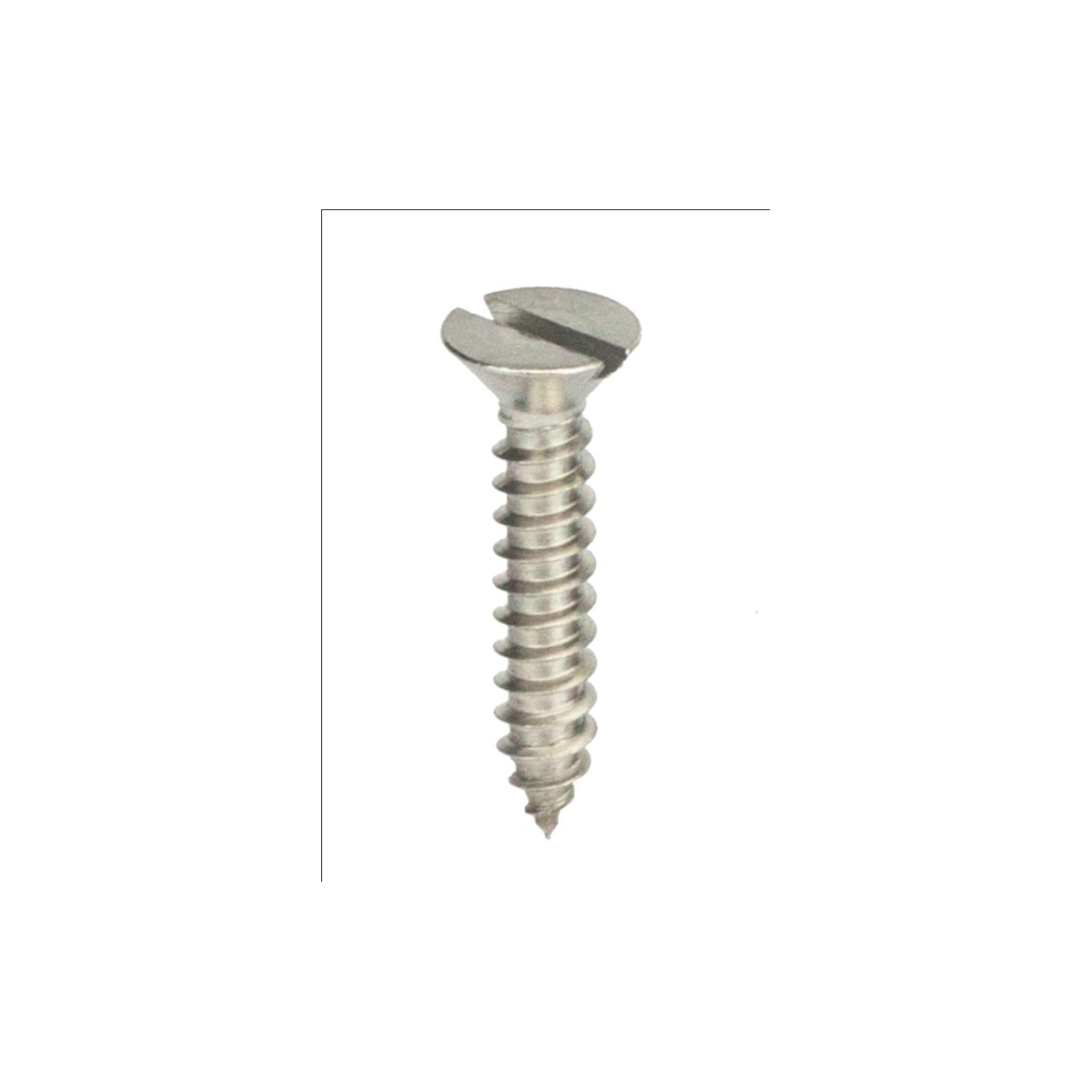 Parafuso Auto-Atarraxante Cabeça Chata c/ Fenda 5.5 X 111 Aço Inox A2 (1 Peça) BELENUS - AACH5.5X111A2