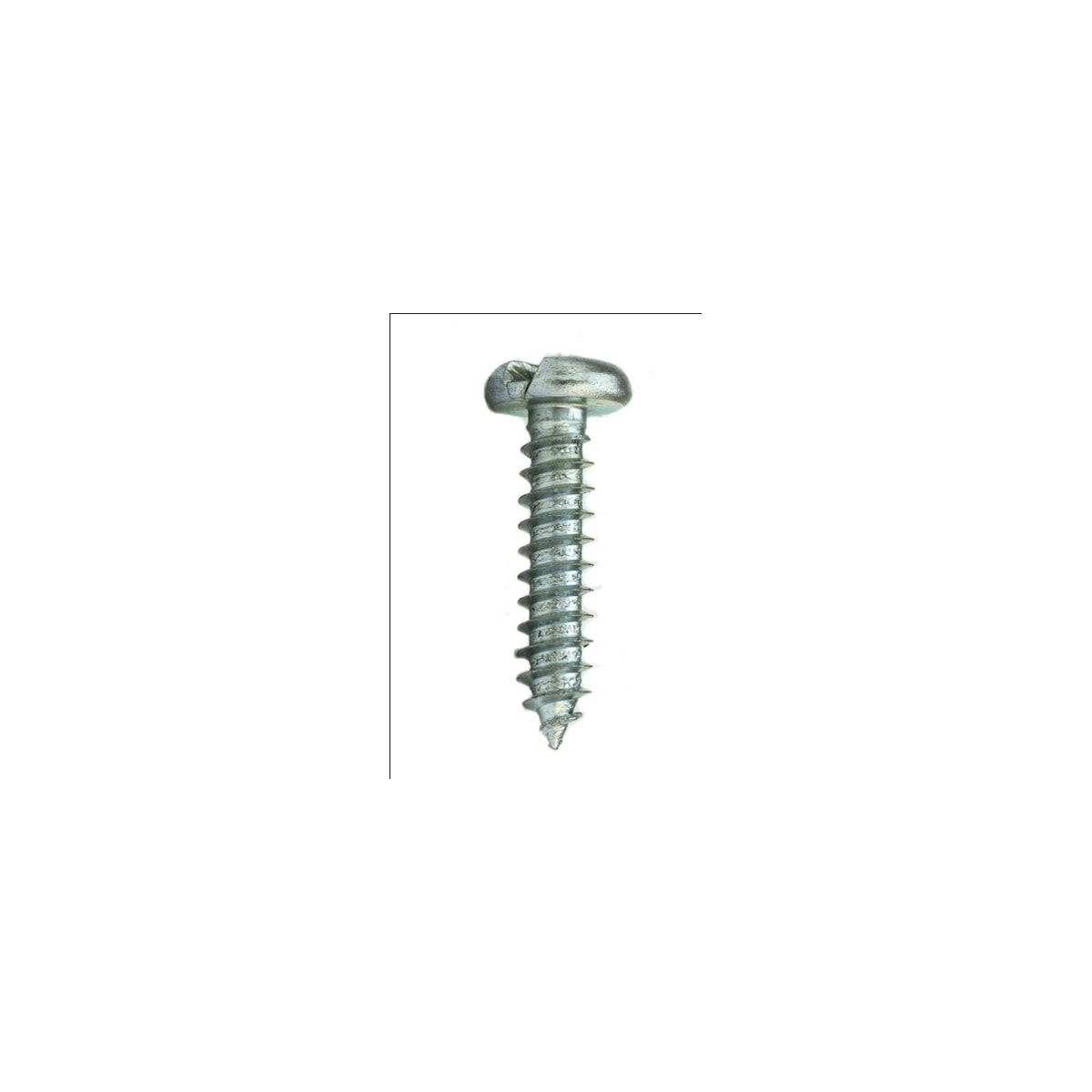 Parafuso Auto-Atarraxante Cabeça Chata c/ Fenda 5.5 x 50 Aço Inox A2 (1 Peça) - BELENUS-AACH5.5X50ZI