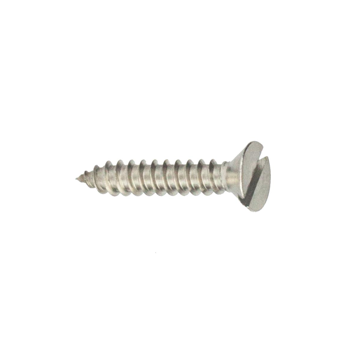 Parafuso Auto-Atarraxante Cabeça Chata c/ Fenda 6.3 X 16 Aço Inox A2 (1 Peça) BELENUS - AACH6.3X16A2