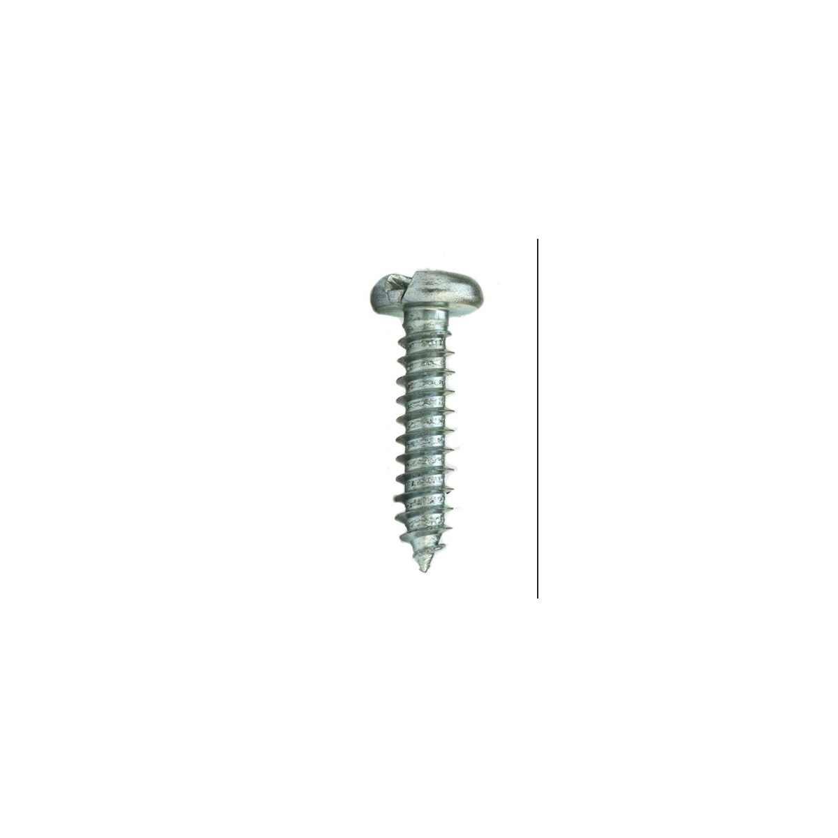 Parafuso Auto-Atarraxante Cabeça Chata c/ Fenda 6.3 x 25 Aço Inox A2 (1 Peça) - BELENUS-AACH6.3X25ZI