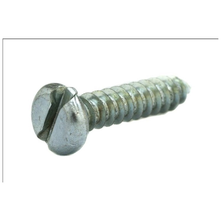 image_f6eb8b88-2d5d-4998-a839-11f8056110f3