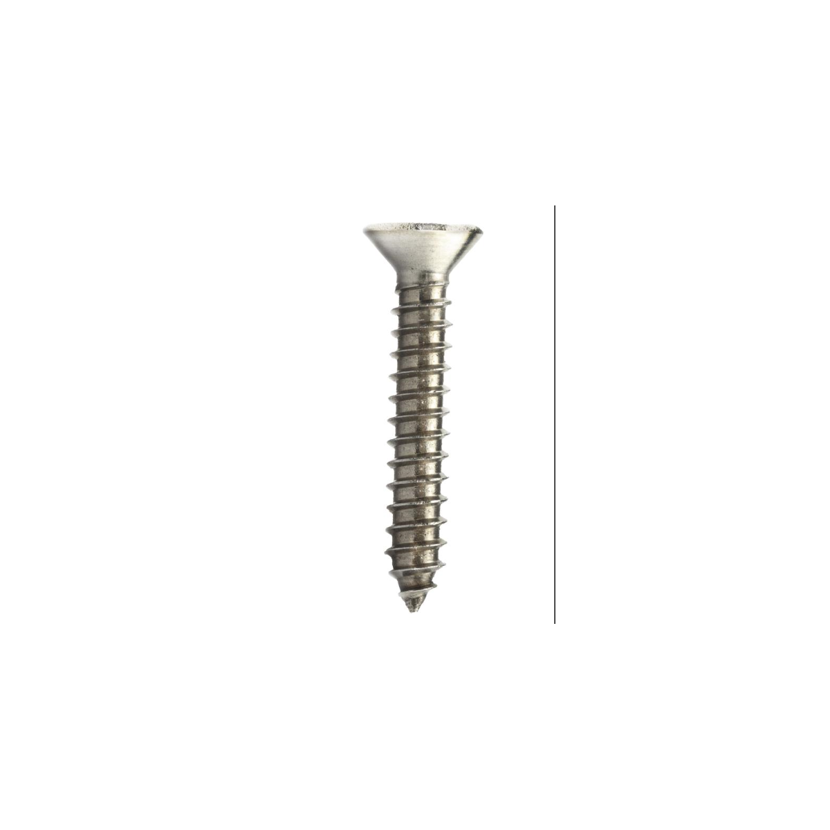 Parafuso Auto-Atarraxante Cabeça Chata Phillips 2.9 x 9.5 Aço Inox A2 (1 Peça) - BELENUS-AACHPZ2.9X9.5A2