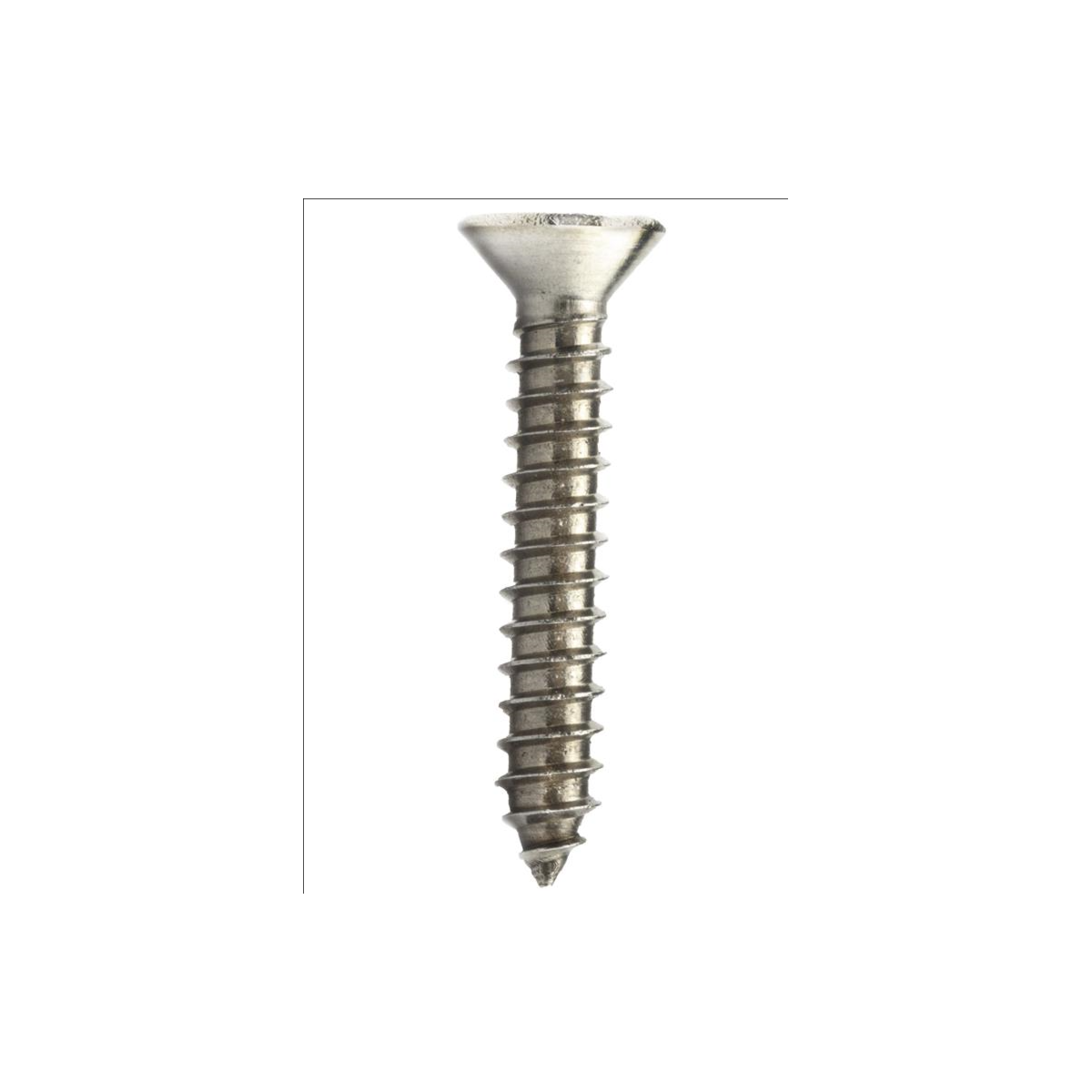 Parafuso Auto-Atarraxante Cabeça Chata Phillips 4.8 x 16 Aço Inox A2 (1 Peça) - BELENUS-AACHPZ4.8X16A2