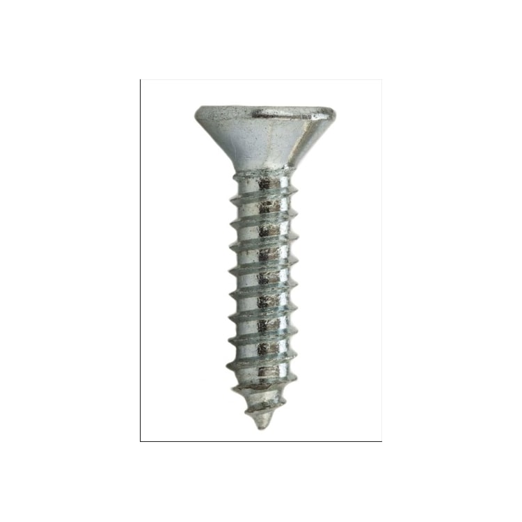 Parafuso Auto-Atarraxante Cabeça Chata Phillips 4.8 x 22 Aço Inox A2 (1 Peça) - BELENUS-AACHPH4.8X22ZI