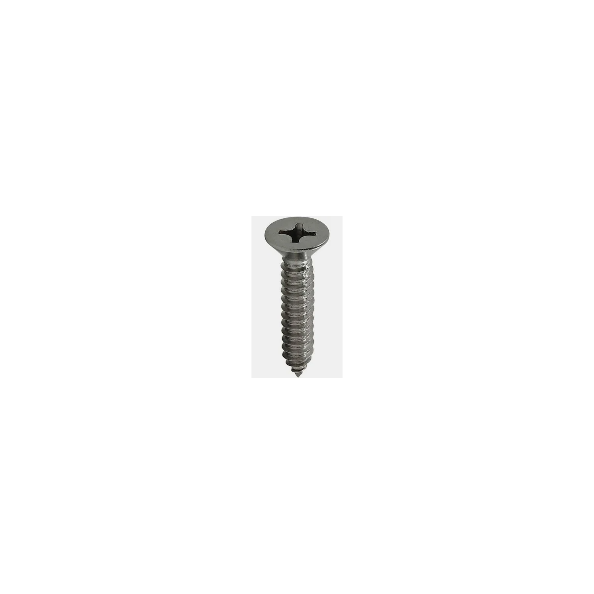 Parafuso Auto-Atarraxante Cabeça Chata Phillips 5.5 x 111 Aço Inox A2 (1 Peça) - BELENUS-AACHPZ5.5X111A2