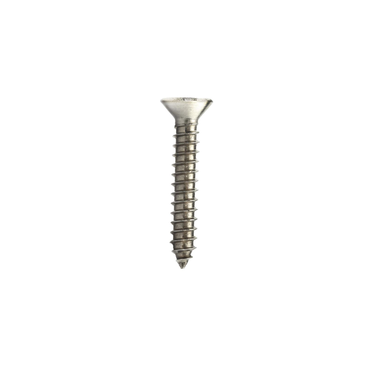 Parafuso Auto-Atarraxante Cabeça Chata Phillips 5.5 x 16 Aço Inox A2 (1 Peça) - BELENUS-AACHPZ5.5X16A2
