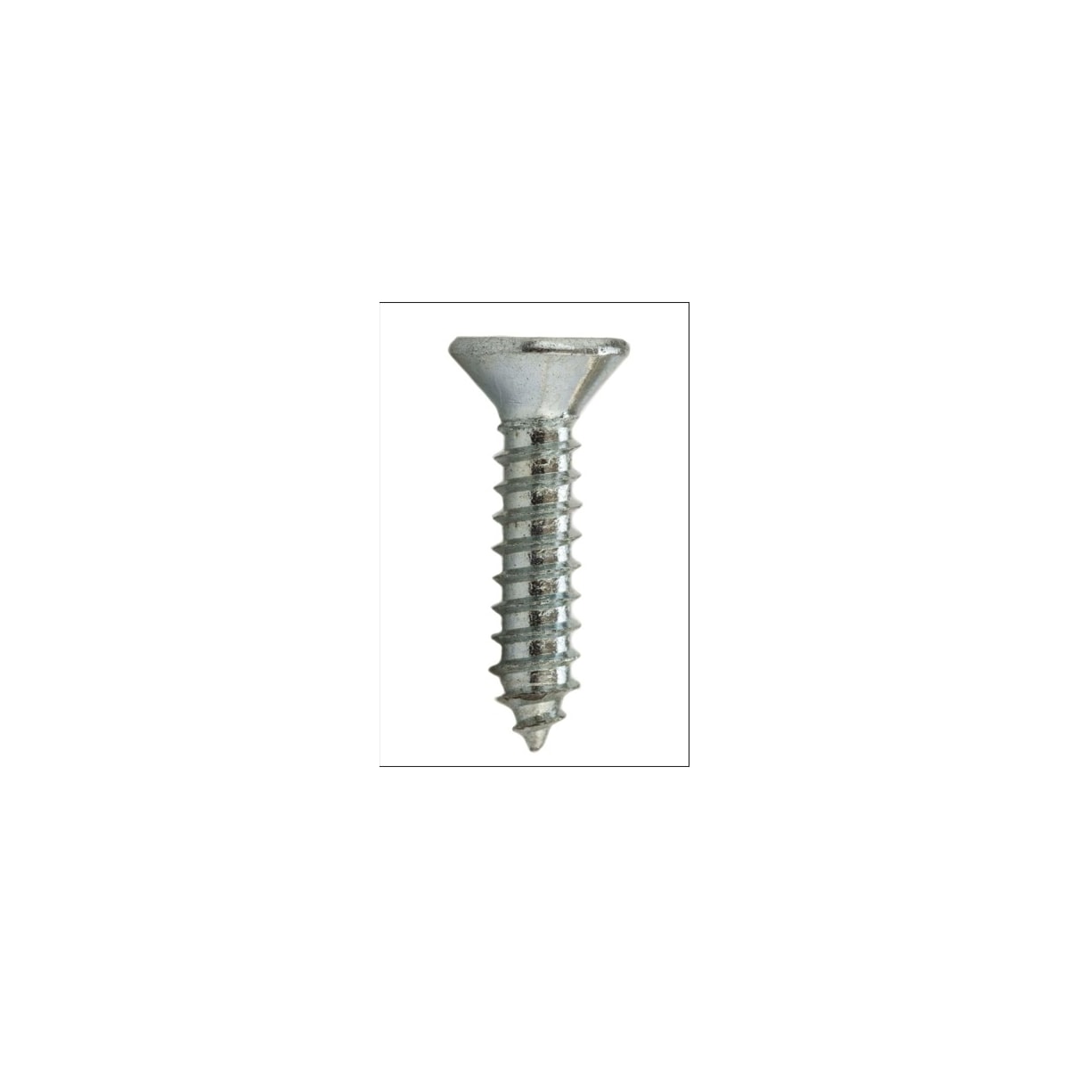 Parafuso Auto-Atarraxante Cabeça Chata Phillips 5.5 x 50 Aço Inox A2 (1 Peça) - BELENUS-AACHPH5.5X50ZI