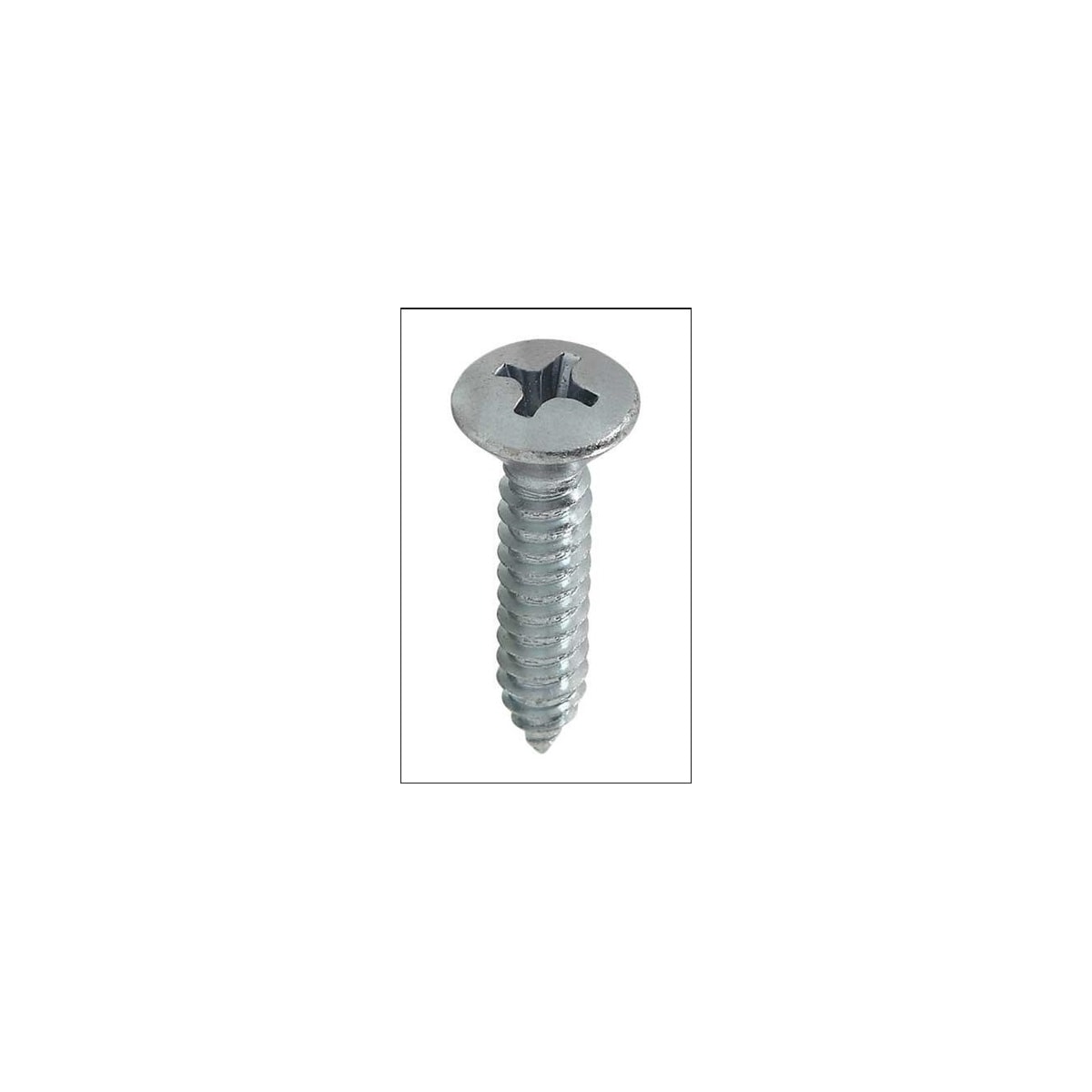 Parafuso Auto-Atarraxante Cabeça Oval Phillips 5.5 x 25 Aço Inox A2 (1 Peça) - BELENUS-AAOVPH5.5X25ZI