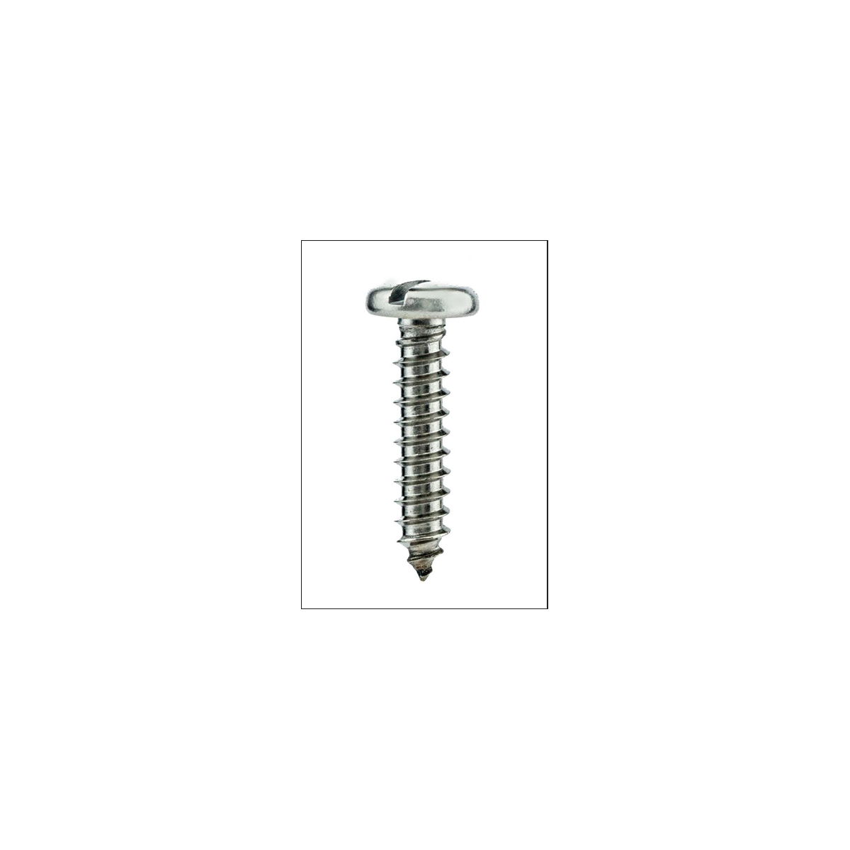 Parafuso Auto-Atarraxante Cabeça Panela c/ Fenda 2.9 X 16 Aço Inox A2 (1 Peça) BELENUS - AAPN2.9X16A2