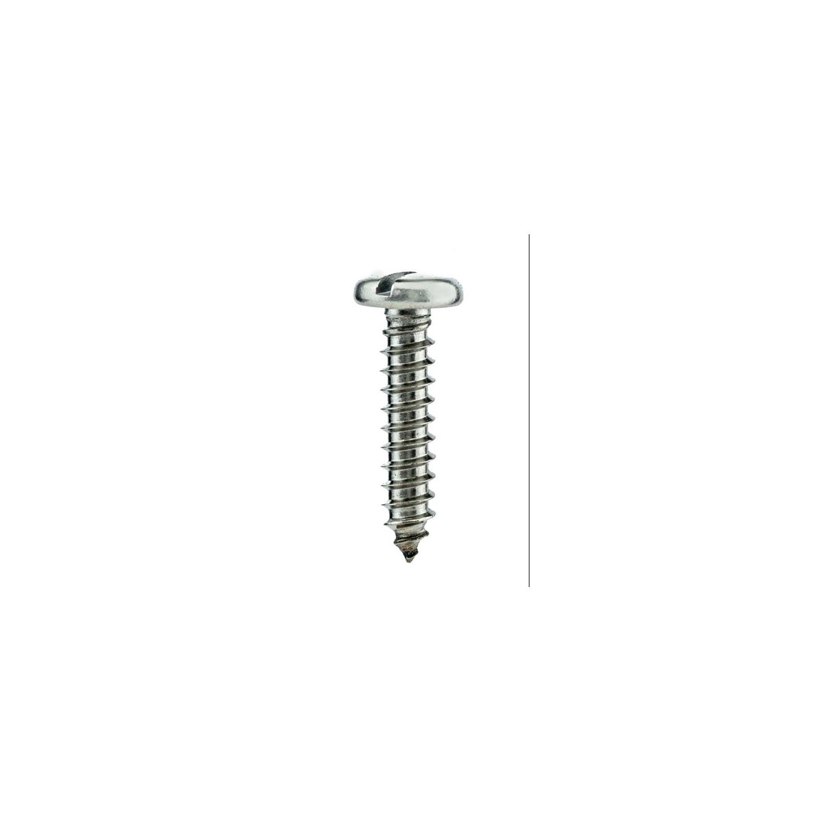Parafuso Auto-Atarraxante Cabeça Panela c/ Fenda 2.9 X 19 Aço Inox A2 (1 Peça) BELENUS - AAPN2.9X19A2