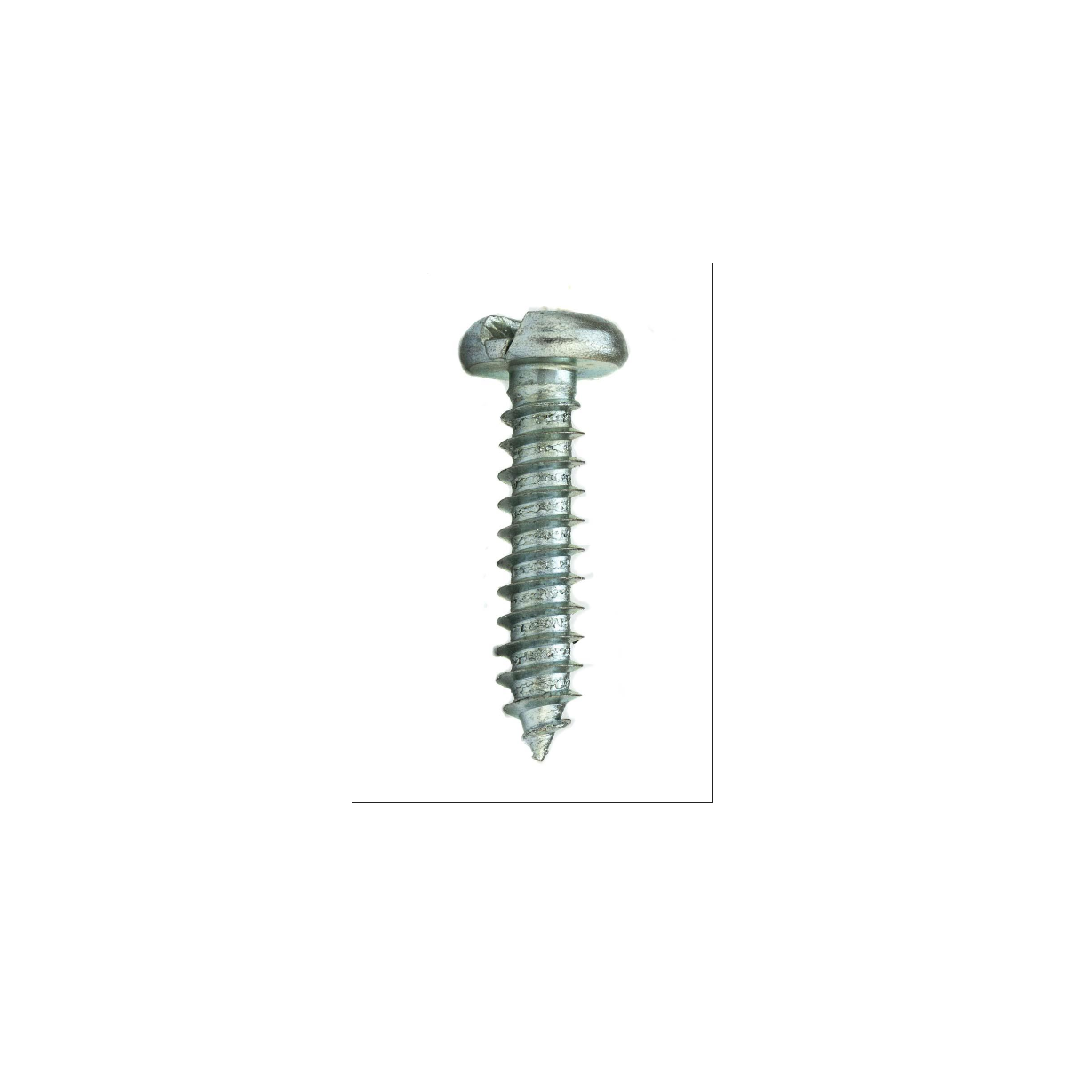 Parafuso Auto-Atarraxante Cabeça Panela c/ Fenda 2.9 x 19 Aço Inox A2 (1 Peça) - BELENUS-AAPN2.9X19ZI