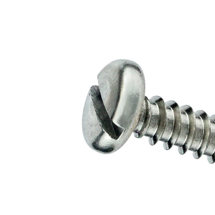 image_2a4e4196-8f0d-45af-aa10-b372e38d7ab6