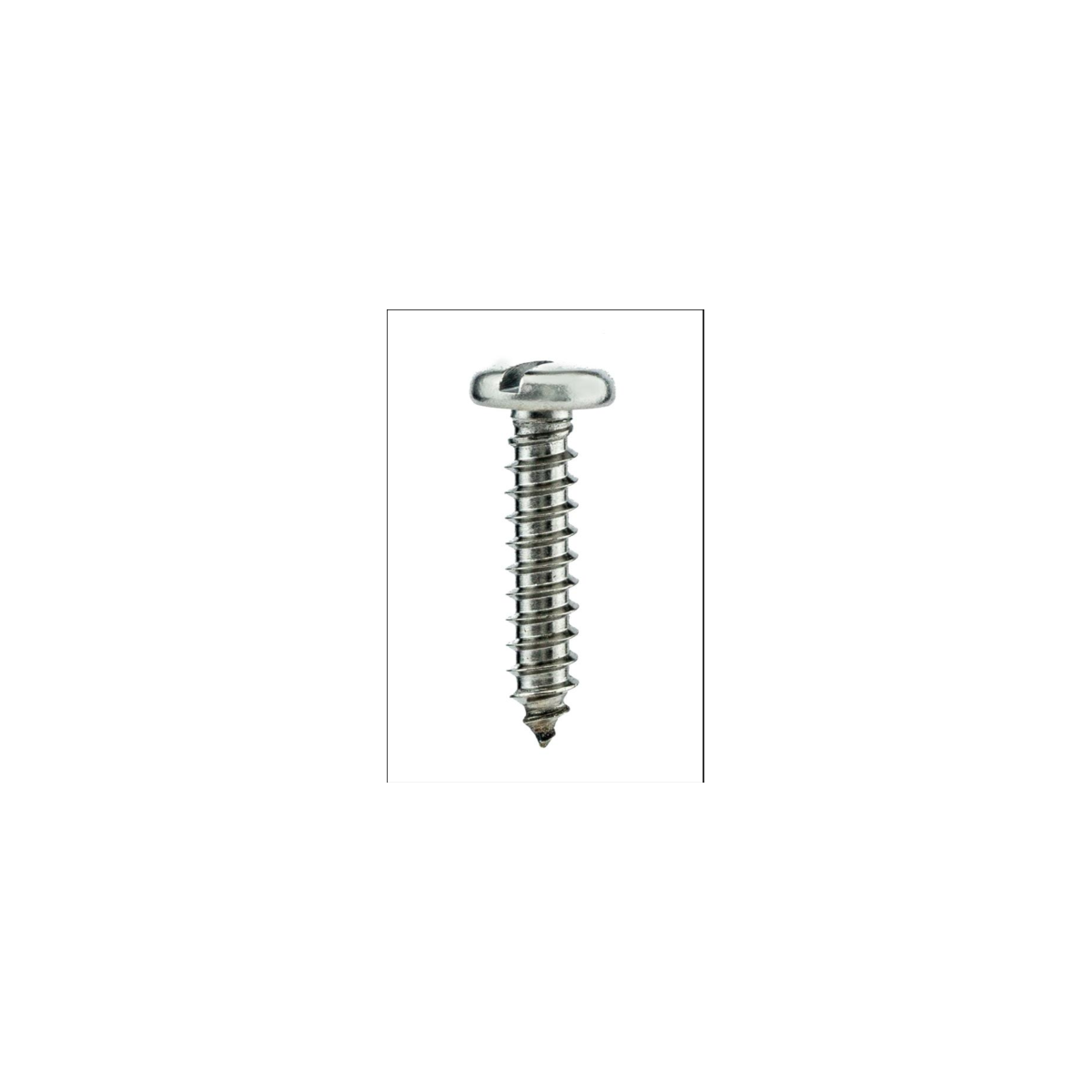 Parafuso Auto-Atarraxante Cabeça Panela c/ Fenda 5.5 X 19 Aço Inox A2 (1 Peça) BELENUS - AAPN5.5X19A2