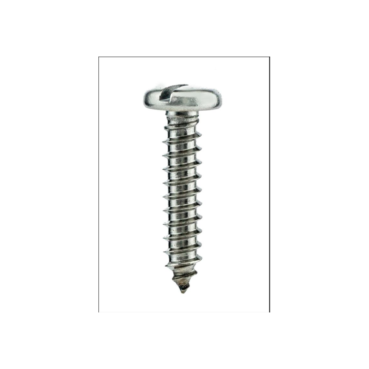 Parafuso Auto-Atarraxante Cabeça Panela c/ Fenda 5.5 X 19 Aço Inox A2 (1 Peça) BELENUS - AAPN5.5X19A2