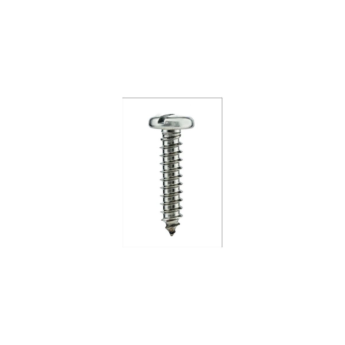 Parafuso Auto-Atarraxante Cabeça Panela c/ Fenda 6.3 X 19 Aço Inox A2 (1 Peça) BELENUS - AAPN6.3X19A2