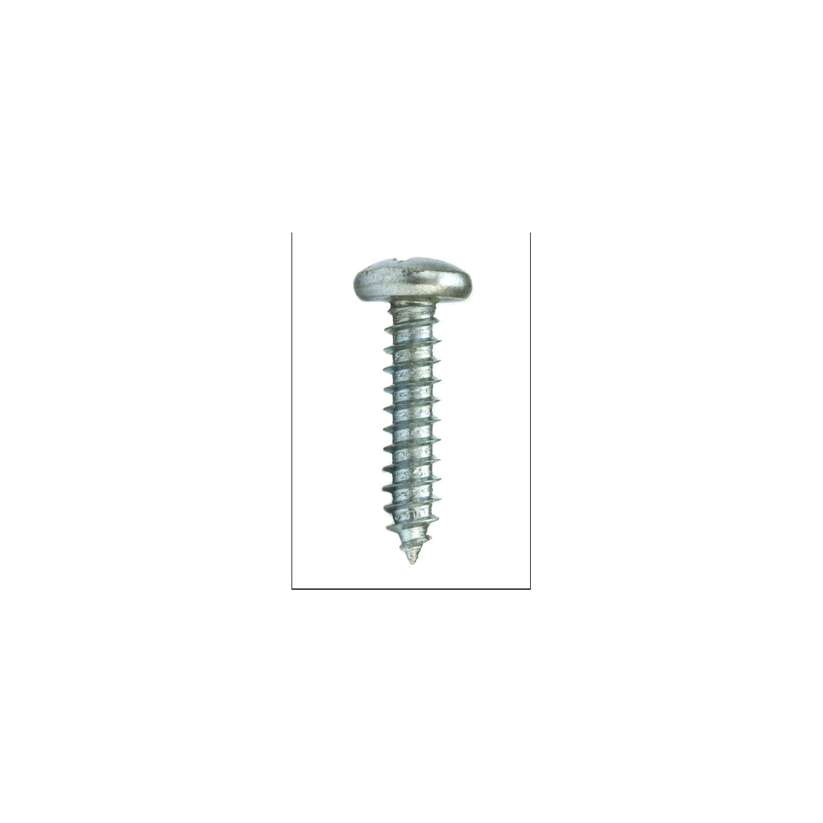Parafuso Auto-Atarraxante Cabeça Panela Phillipa 2.9 x 6.5 Aço Inox A2 (1 Peça) - BELENUS-AAPNPH2.9X6.5ZI
