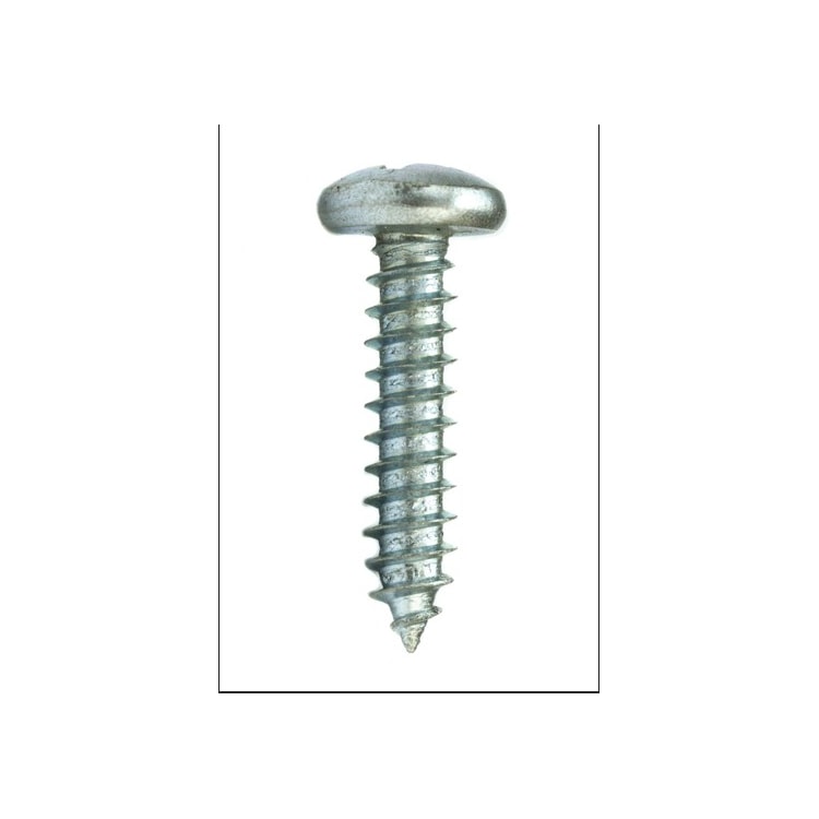 Parafuso Auto-Atarraxante Cabeça Panela Phillipa 2.9 x 6.5 Aço Inox A2 (1 Peça) - BELENUS-AAPNPH2.9X6.5ZI