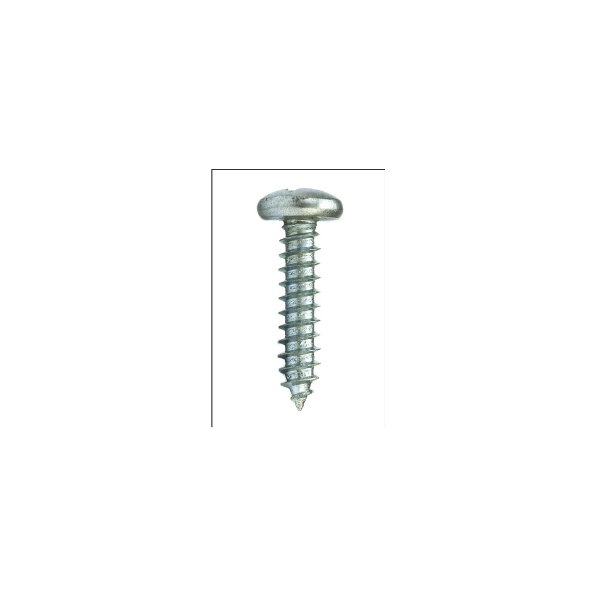 Parafuso Auto-Atarraxante Cabeça Panela Phillipa 3.5 x 16 Aço Inox A2 (1 Peça) - BELENUS-AAPNPH3.5X16ZI