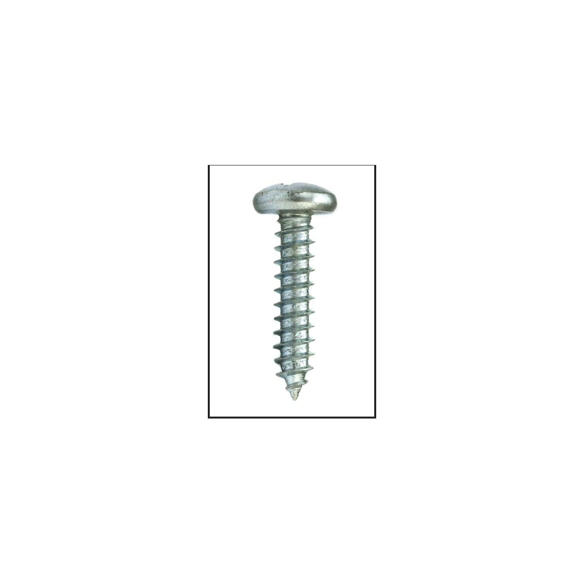 Parafuso Auto-Atarraxante Cabeça Panela Phillips 3.5 x 13 Aço Inox A2 (1 Peça) - BELENUS-AAPNPH3.5X13ZI