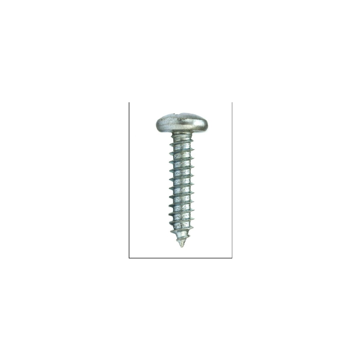 Parafuso Auto-Atarraxante Cabeça Panela Phillips 3.5 x 6.5 Aço Inox A2 (1 Peça) - BELENUS-AAPNPH3.5X6.5ZI