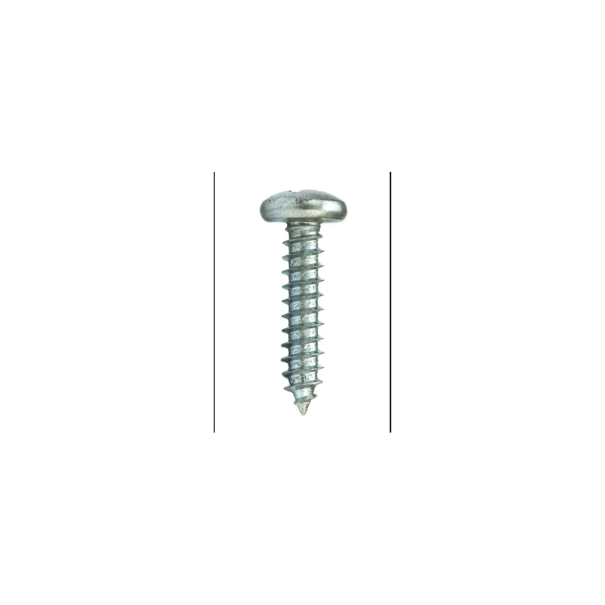 Parafuso Auto-Atarraxante Cabeça Panela Phillips 3.9 x 13 Aço Inox A2 (1 Peça) - BELENUS-AAPNPH3.9X13ZI
