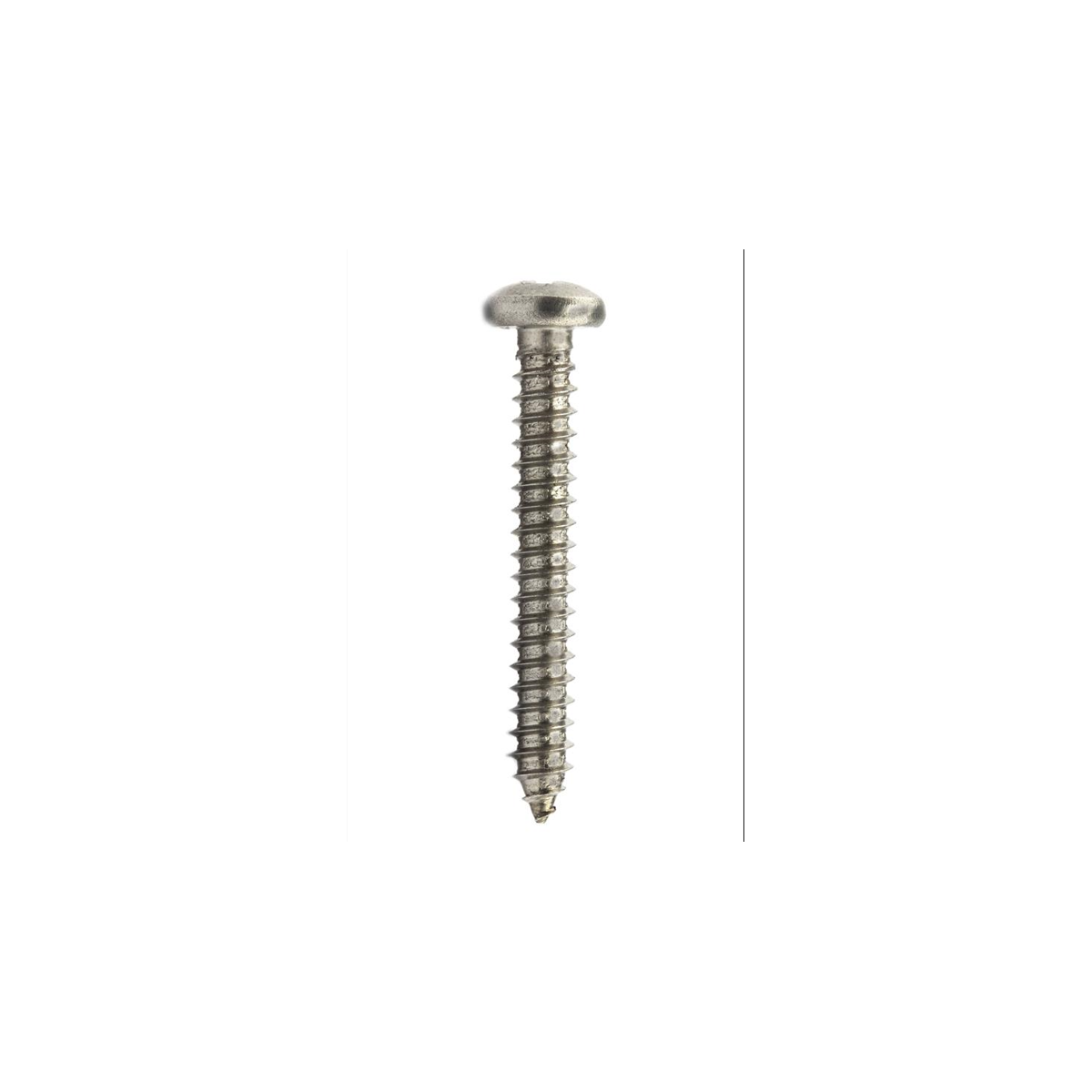 Parafuso Auto-Atarraxante Cabeça Panela Phillips 4.2 x 13 Aço Inox A2 (1 Peça) BELENUS - AAPNPZ4.2X13A2