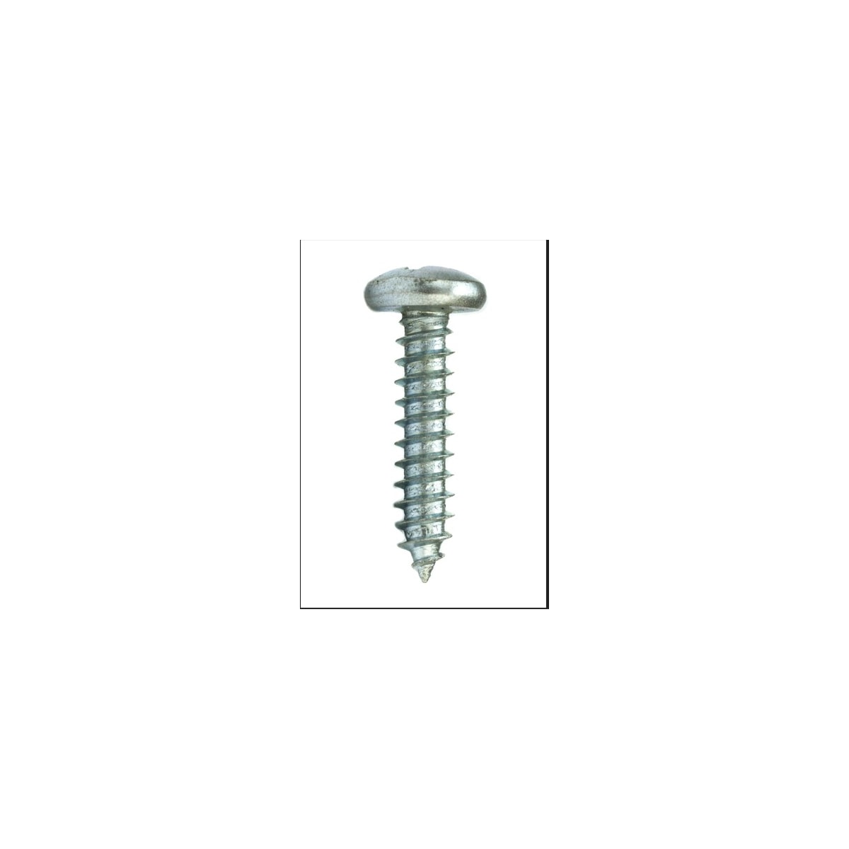 Parafuso Auto-Atarraxante Cabeça Panela Phillips 4.2 x 32 Aço Inox A2 (1 Peça) - BELENUS-AAPNPH4.2X32ZI