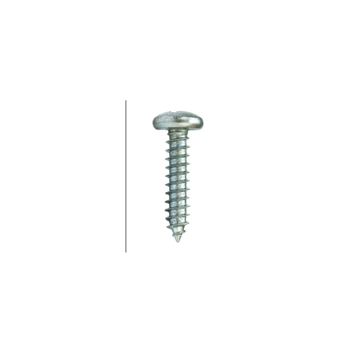 Parafuso Auto-Atarraxante Cabeça Panela Phillips 4.2 x 38 Aço Inox A2 (1 Peça) - BELENUS-AAPNPH4.2X38ZI