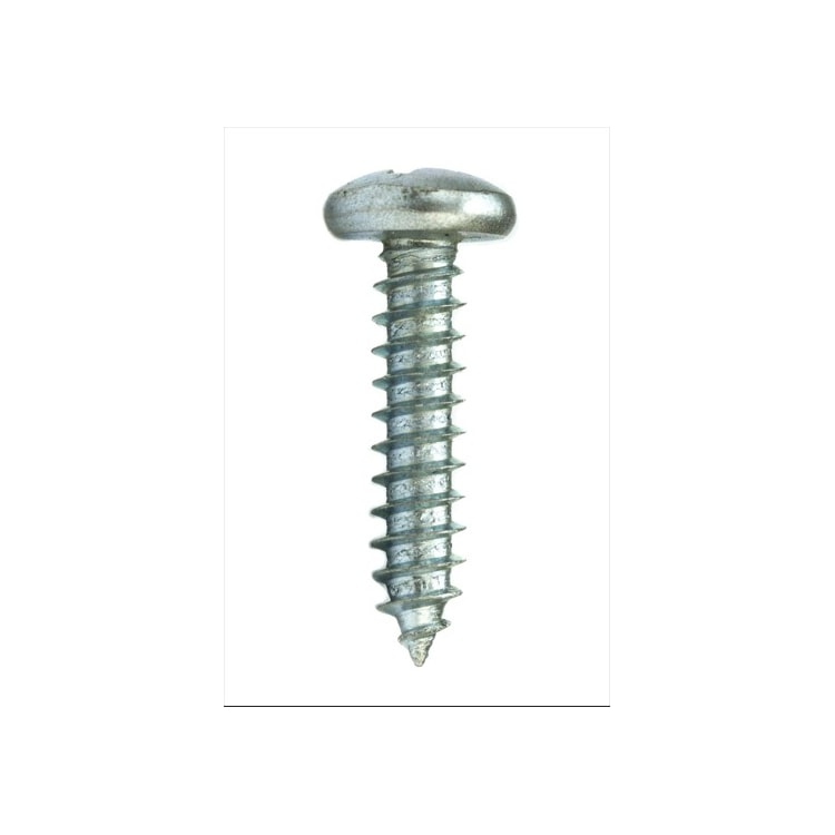 Parafuso Auto-Atarraxante Cabeça Panela Phillips 4.8 x 16 Aço Inox A2 (1 Peça) - BELENUS-AAPNPH4.8X16ZI