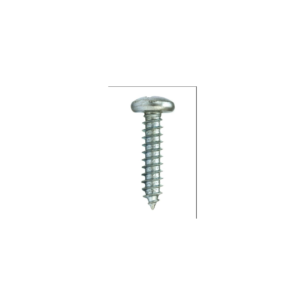 Parafuso Auto-Atarraxante Cabeça Panela Phillips 4.8 x 19 Aço Inox A2 (1 Peça) - BELENUS-AAPNPH4.8X19ZI