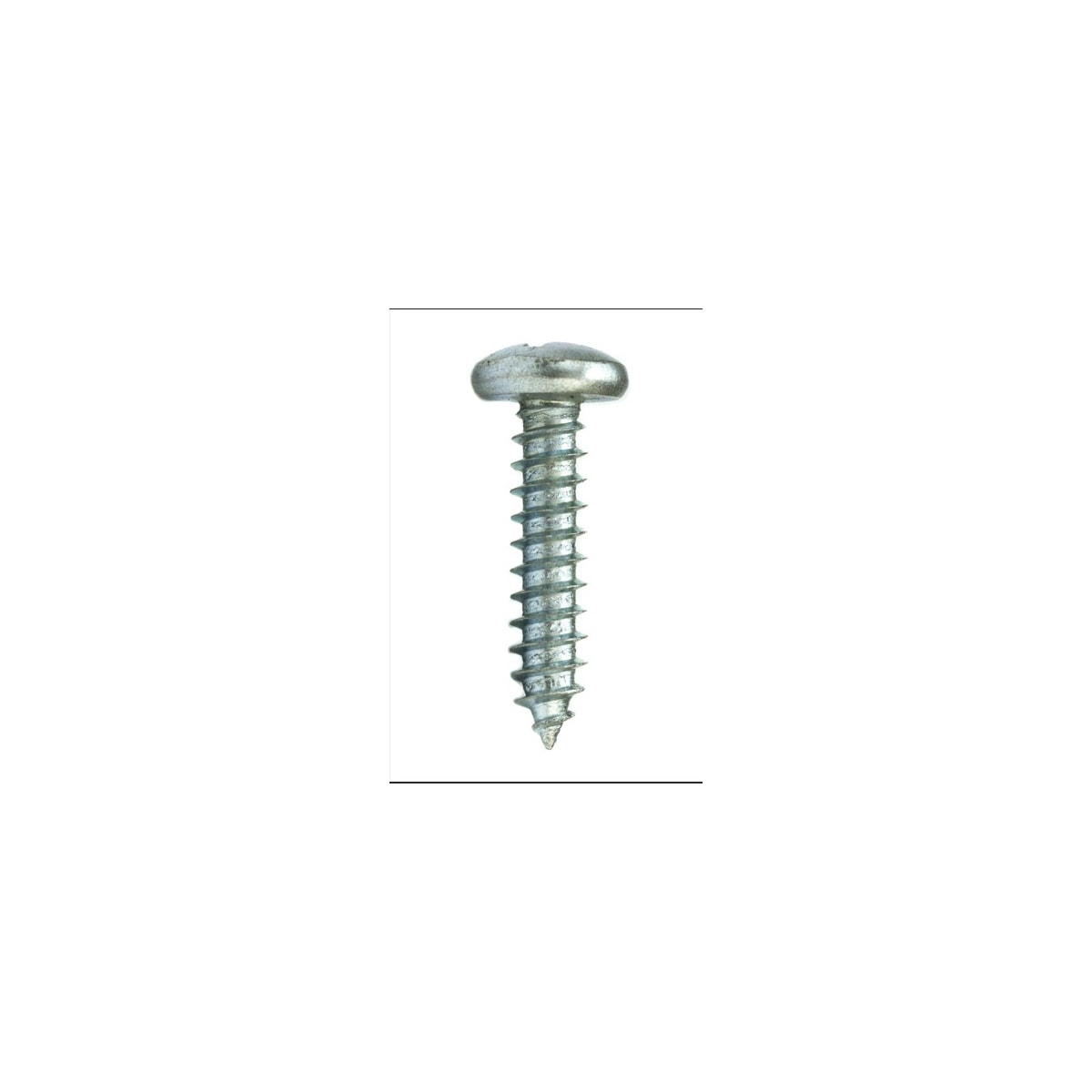 Parafuso Auto-Atarraxante Cabeça Panela Phillips 5.5 x 16 Aço Inox A2 (1 Peça) - BELENUS-AAPNPH5.5X16ZI