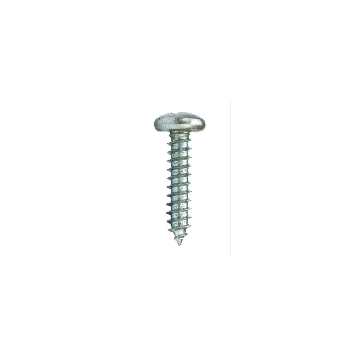 Parafuso Auto-Atarraxante Cabeça Panela Phillips 5.5 x 19 Aço Inox A2 (1 Peça) - BELENUS-AAPNPH5.5X19ZI