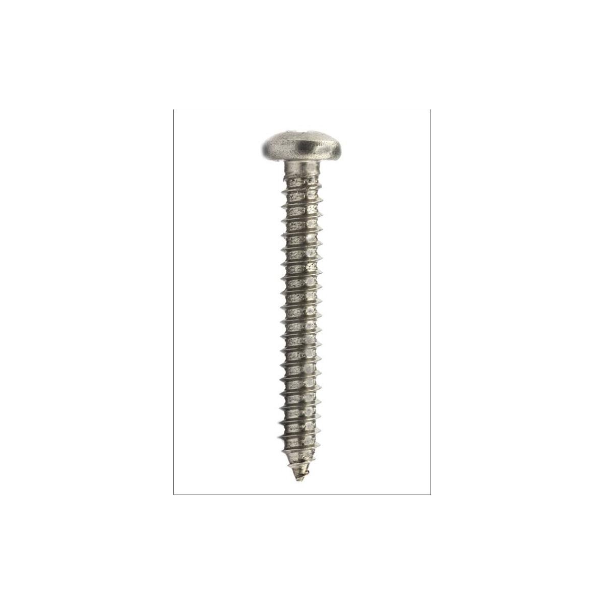 Parafuso Auto-Atarraxante Cabeça Panela Phillips 5.5 x 22 Aço Inox A2 (1 Peça) BELENUS - AAPNPZ5.5X22A2
