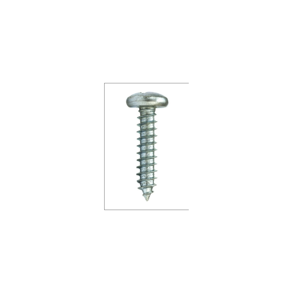 Parafuso Auto-Atarraxante Cabeça Panela Phillips 5.5 x 32 Aço Inox A2 (1 Peça) - BELENUS-AAPNPH5.5X32ZI